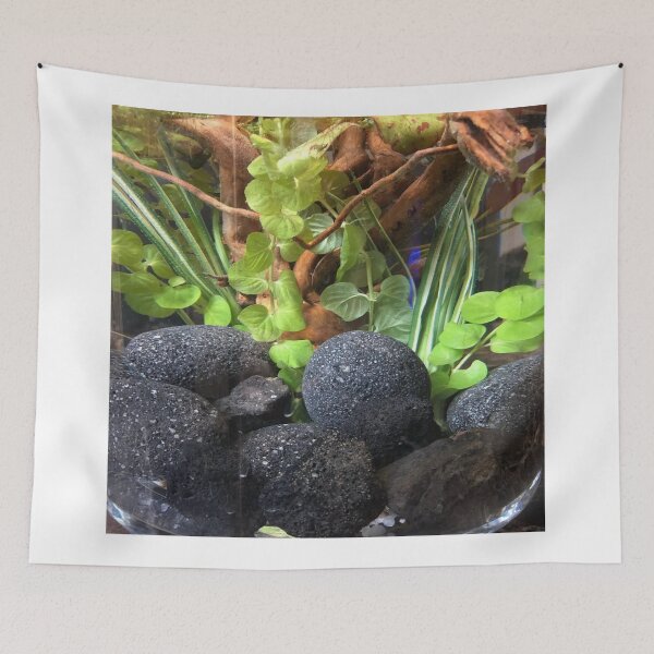 Item preview, Whisper of the Gourami designed and sold by Danielaadvant.