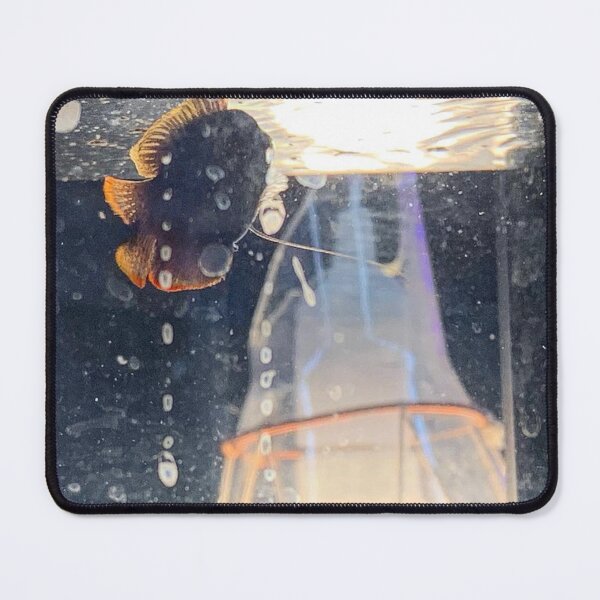 Item preview, Gourami Bliss Underwater World designed and sold by Danielaadvant.