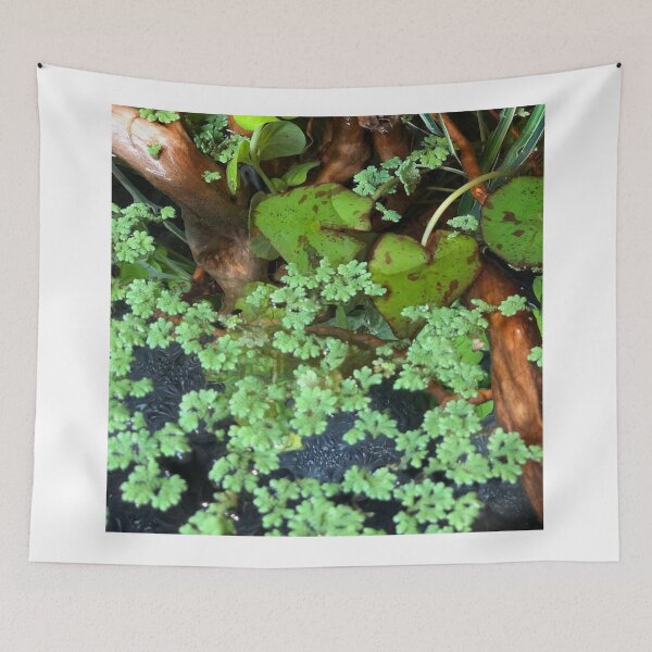 Item preview, Gourami Glow in Aquatic Calm designed and sold by Danielaadvant.