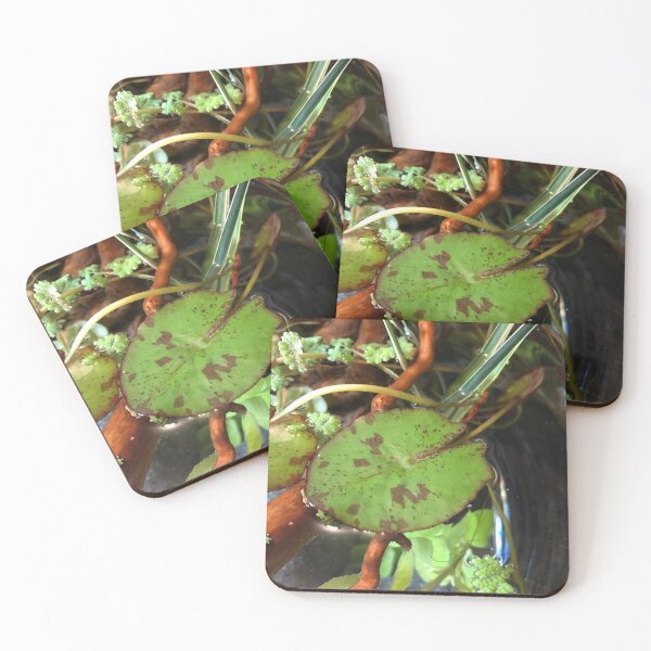Item preview, The Grace of Gourami designed and sold by Danielaadvant.