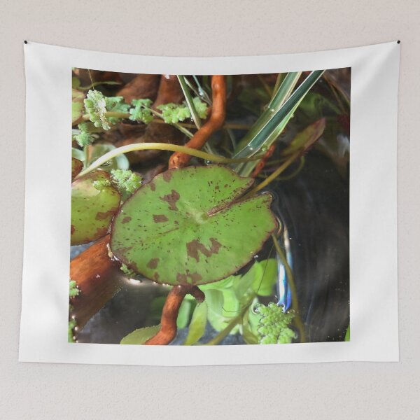 Item preview, The Grace of Gourami designed and sold by Danielaadvant.
