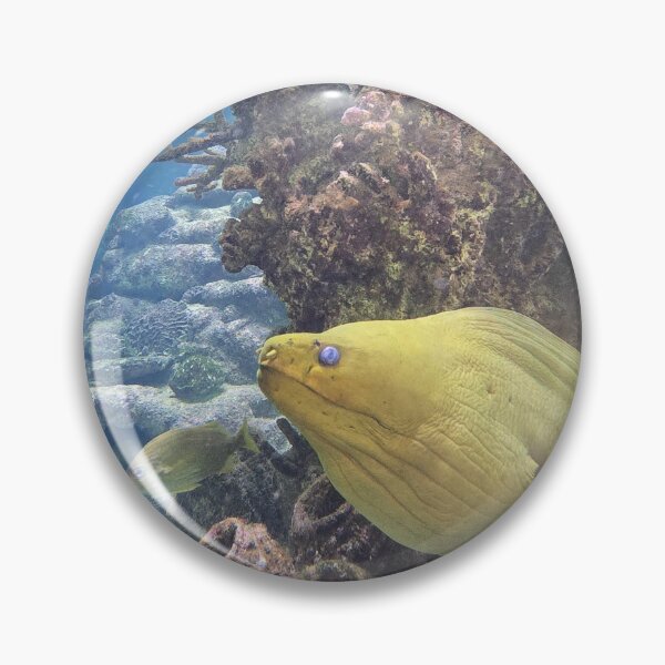 Item preview, Colorful Sea Life and Coral designed and sold by CoastalCalmCo.