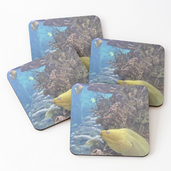 Item preview, Colorful Sea Life and Coral designed and sold by CoastalCalmCo.