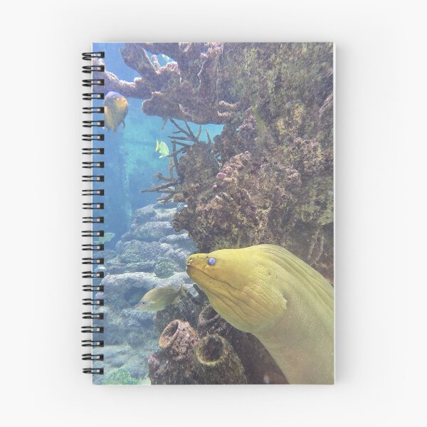 Item preview, Colorful Sea Life and Coral designed and sold by CoastalCalmCo.