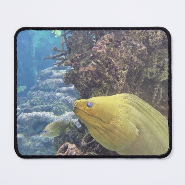 Item preview, Colorful Sea Life and Coral designed and sold by CoastalCalmCo.