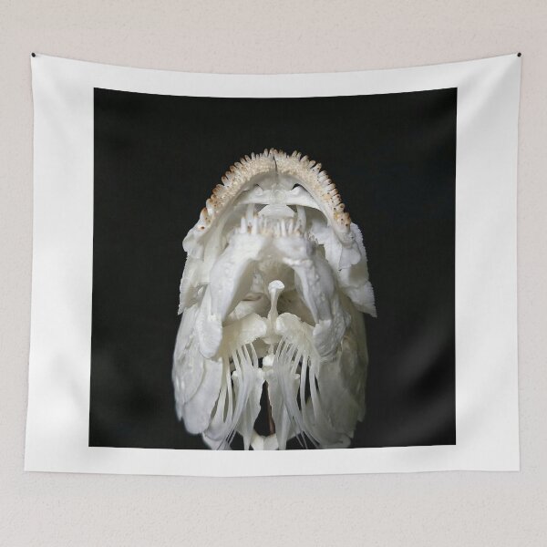 Item preview, Gourami Beneath the Waves designed and sold by Danielaadvant.