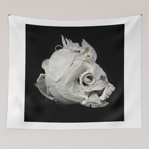 Item preview, Gourami in Peaceful Reflections designed and sold by Danielaadvant.
