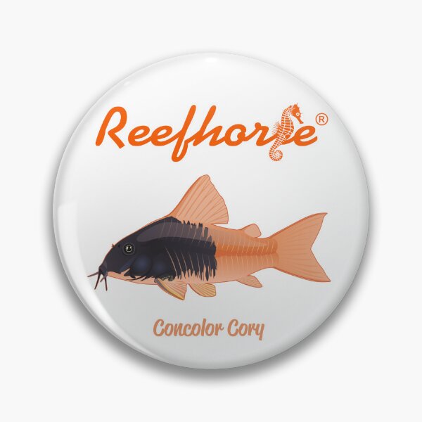 Item preview, Concolor Cory designed and sold by KaplanCrypto.