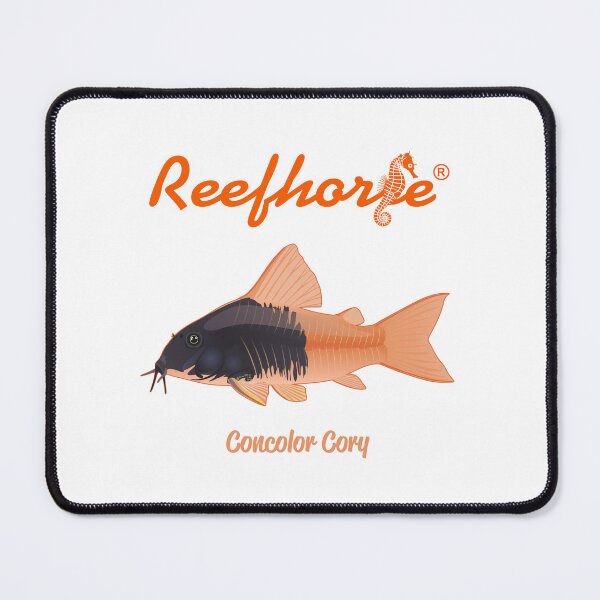 Item preview, Concolor Cory designed and sold by KaplanCrypto.