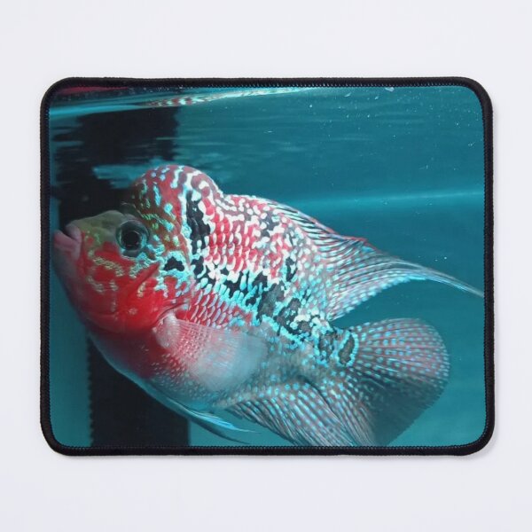 Item preview, Gentle Gourami in Flowing Waters designed and sold by Danielaadvant.