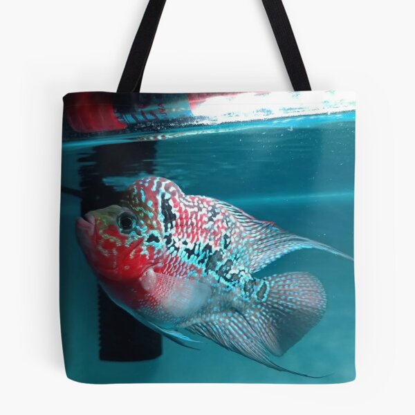 Item preview, Gentle Gourami in Flowing Waters designed and sold by Danielaadvant.