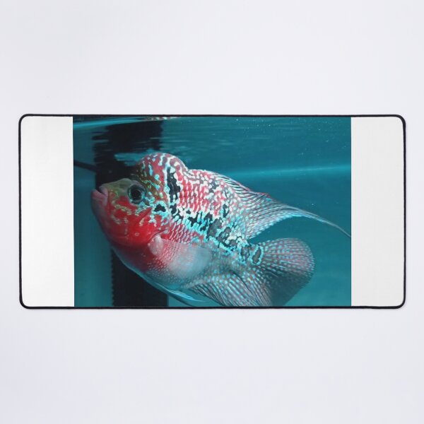 Item preview, Gentle Gourami in Flowing Waters designed and sold by Danielaadvant.