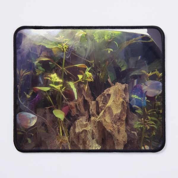 Item preview, Elegant Gourami Fish Design designed and sold by Danielaadvant.