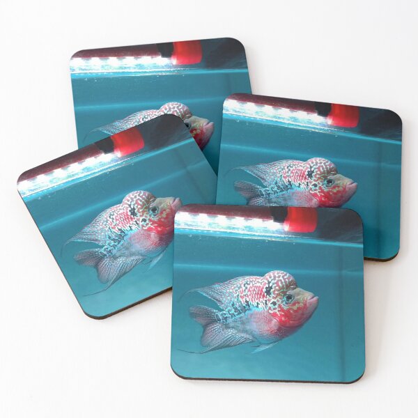 Item preview, Gourami in Lush Aquatic Habitat designed and sold by Danielaadvant.