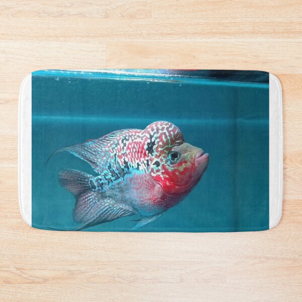 Item preview, Gourami in Lush Aquatic Habitat designed and sold by Danielaadvant.