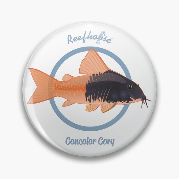 Item preview, Concolor Cory 2 designed and sold by KaplanCrypto.