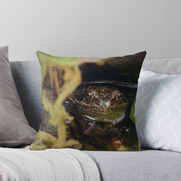 Item preview, Tim the Frog designed and sold by amysian.