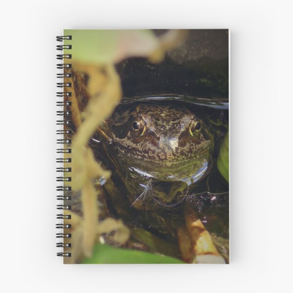 Item preview, Tim the Frog designed and sold by amysian.