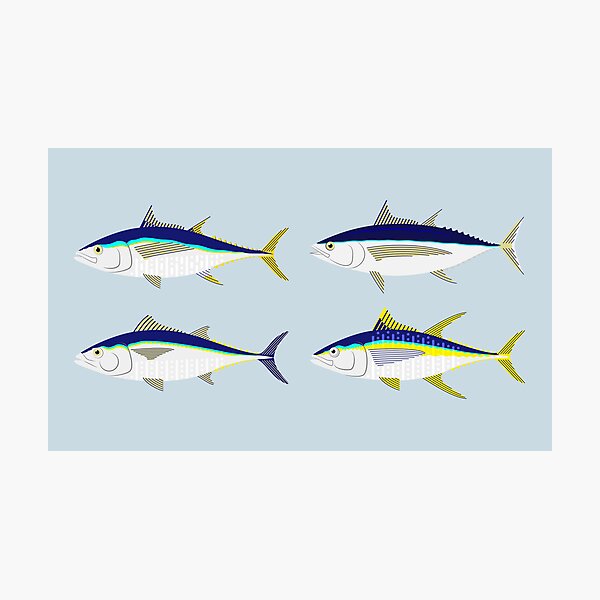 Item preview, Tuna designed and sold by Graham Bliss.