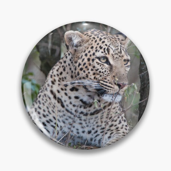 Item preview, Resting Leopard designed and sold by Ingo Gerlach.