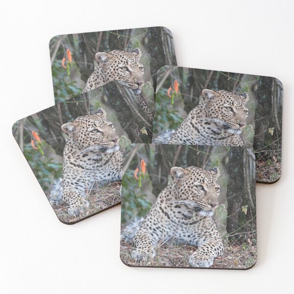 Item preview, Resting Leopard designed and sold by Ingo Gerlach.