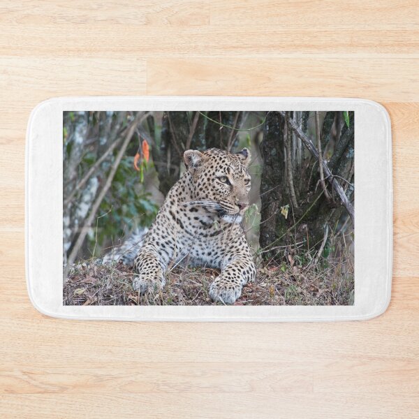 Item preview, Resting Leopard designed and sold by Ingo Gerlach.