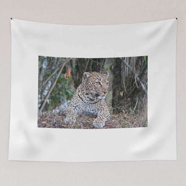 Item preview, Resting Leopard designed and sold by Ingo Gerlach.