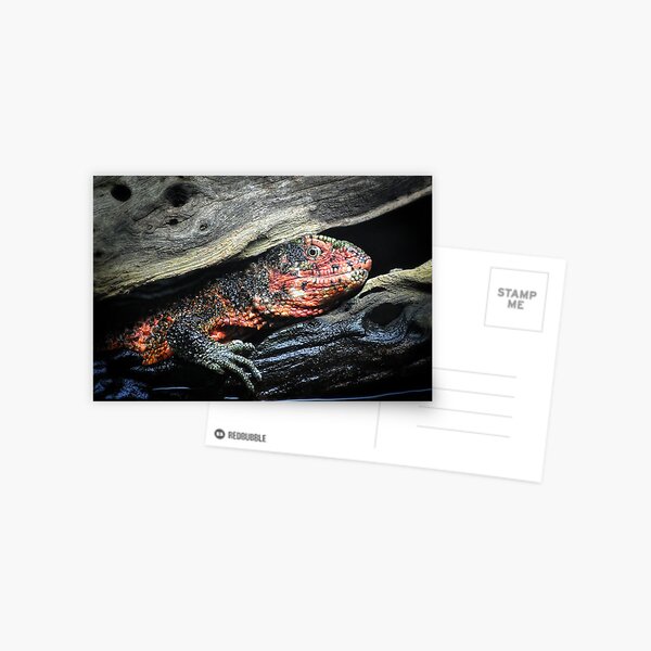 Item preview, Chinese Crocodile Lizard designed and sold by Savannah Gibbs.