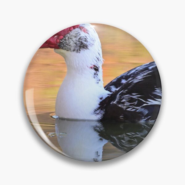Item preview, Head Shot!  designed and sold by Glennphotos.