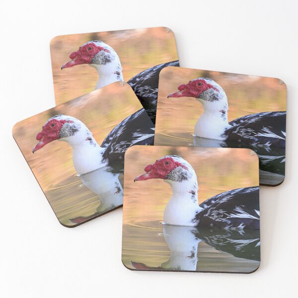 Item preview, Head Shot!  designed and sold by Glennphotos.