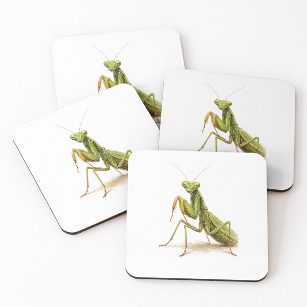 Item preview, oil painting praying mantis designed and sold by Stickers void.