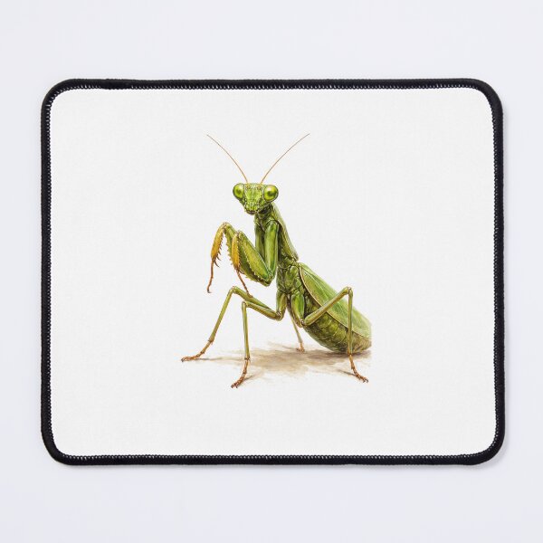 Item preview, oil painting praying mantis designed and sold by Stickers void.