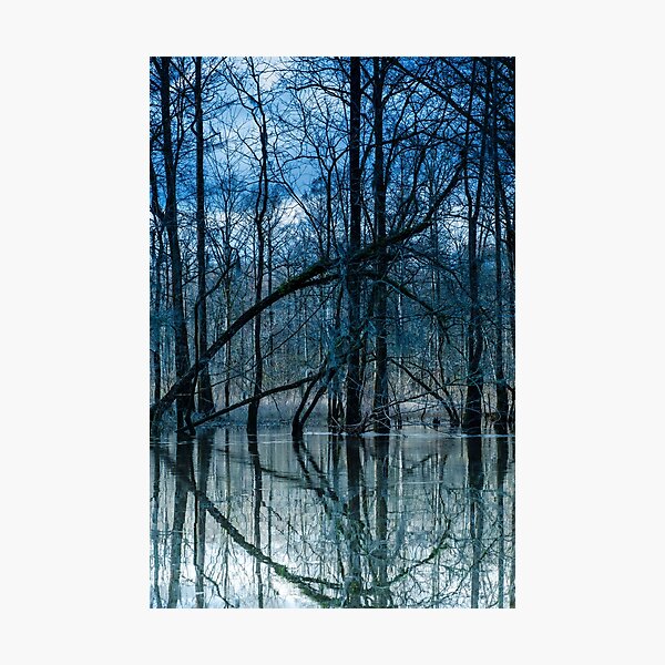 Item preview, Lynches River designed and sold by Shaneface.
