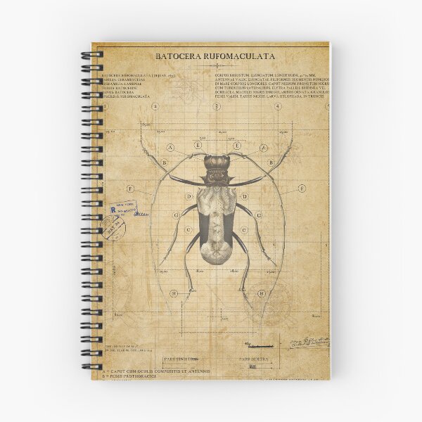 Item preview, Vintage Longhorn Beetle Blueprint  designed and sold by Jeeklsdotcom.