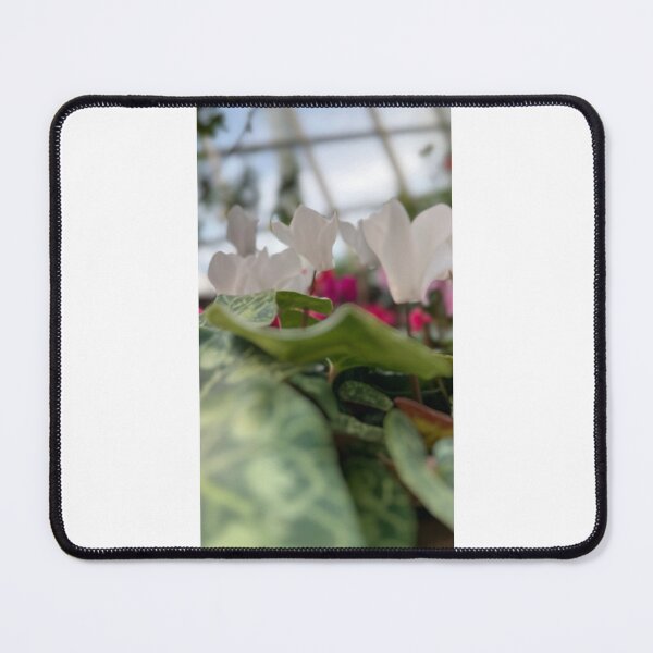 Item preview, Elegance in Pure White designed and sold by Asnita Ab Wahab.