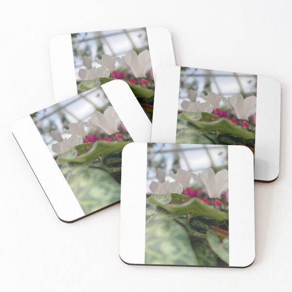 Item preview, Elegance in Pure White designed and sold by Asnita Ab Wahab.