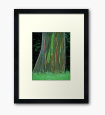 Rainbow Hawaiian Tree Framed Print