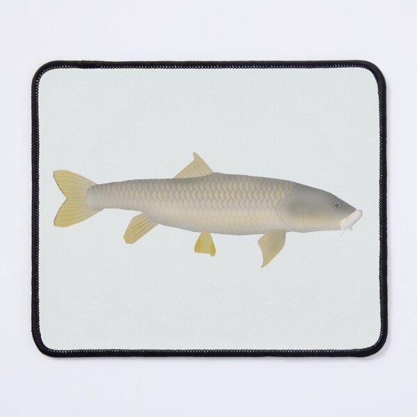 Item preview, Golden Mahseer designed and sold by fishfolkart.