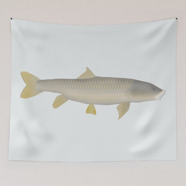 Item preview, Golden Mahseer designed and sold by fishfolkart.
