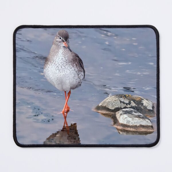 Item preview, Common Redshank designed and sold by Tom McPherson Photography.