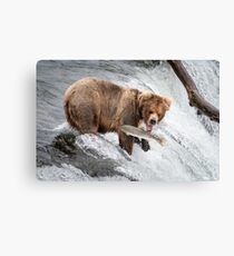 Almost... Canvas Print