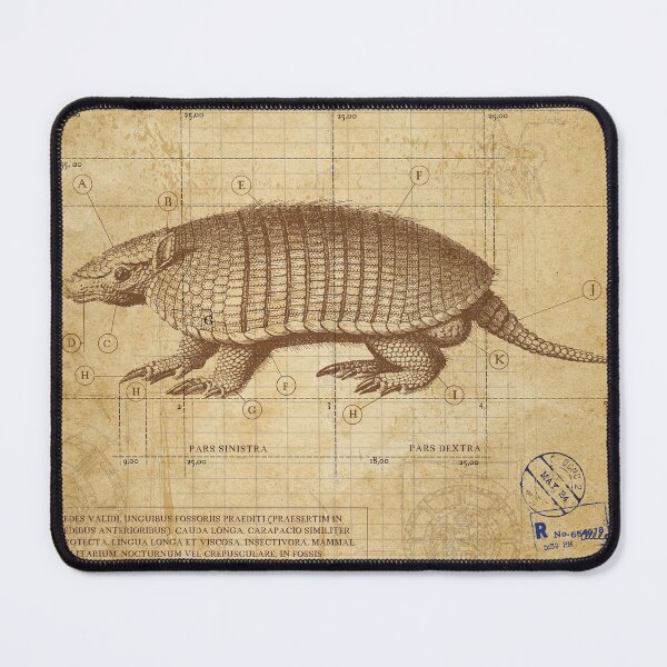 Item preview, Vintage Armadillo  designed and sold by Jeeklsdotcom.