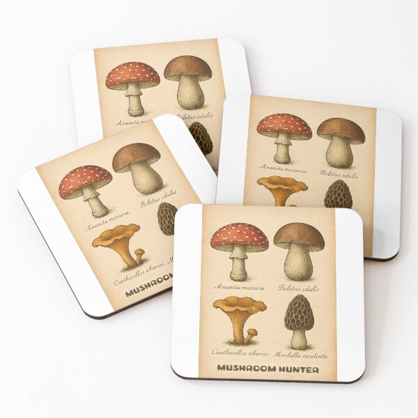 Item preview, Vintage Mushroom Chart - Mycology Identification designed and sold by uniqueworkz.