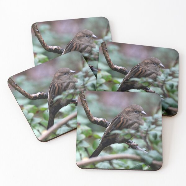 Item preview, hiding designed and sold by KathleenDawson.