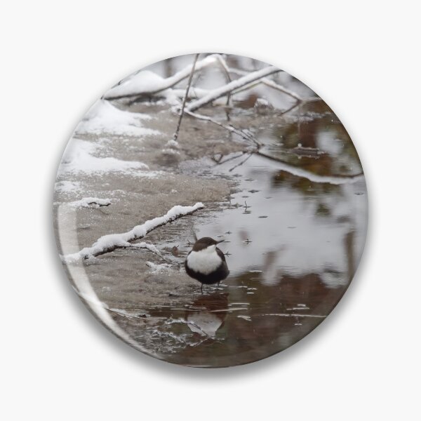 Item preview, By the brown river. White-throated dipper designed and sold by Jouko Lehto Photography.