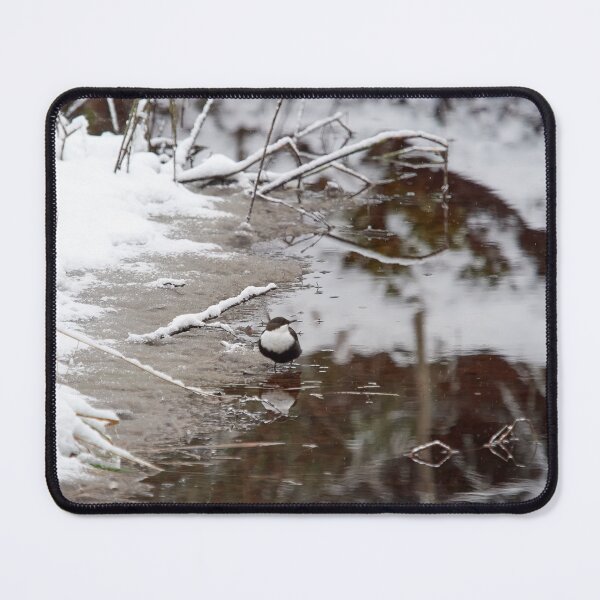 Item preview, By the brown river. White-throated dipper designed and sold by Jouko Lehto Photography.