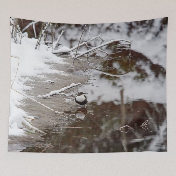 Item preview, By the brown river. White-throated dipper designed and sold by Jouko Lehto Photography.