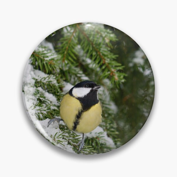 Item preview, Wintertit. Great tit 2025 designed and sold by Jouko Lehto Photography.