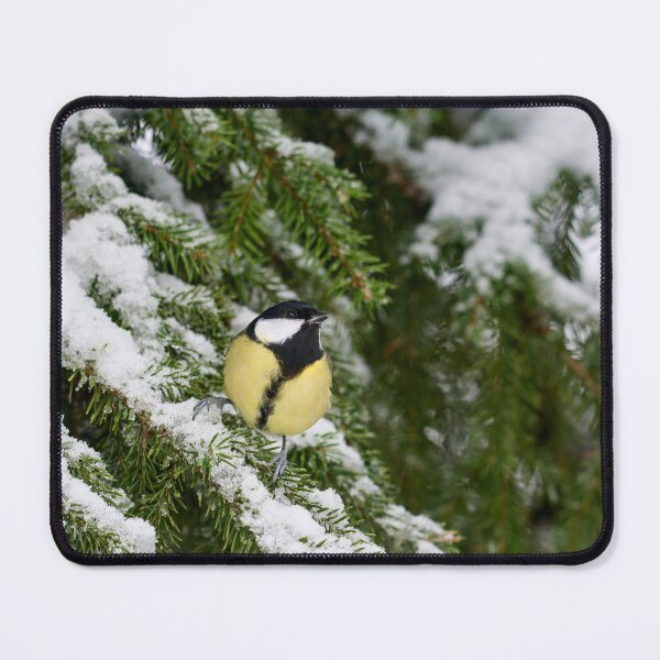 Item preview, Wintertit. Great tit 2025 designed and sold by Jouko Lehto Photography.
