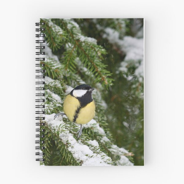 Item preview, Wintertit. Great tit 2025 designed and sold by Jouko Lehto Photography.